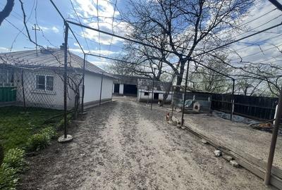 Casă cu 3 camere în Lozna - 4