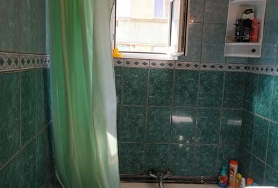 Apartament cu 2 camere semidecomandat în Vladimirescu - 2