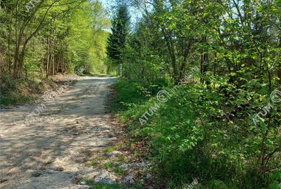 Teren intravilan 1300 mp de pe Valea Avrigului in zona Mlac - 2