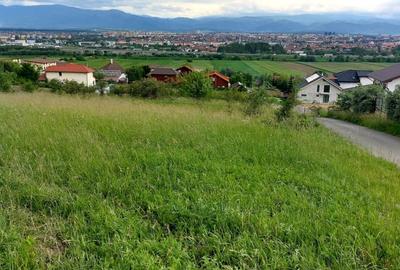 Teren Intravilan 6500mp, spre vanzare in Gusterita - 6