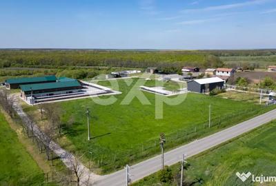 Teren în Crânguri - 8