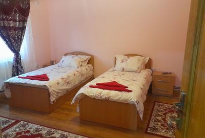 Casă cu 4 camere cu Teren 1400 Mp în Silvașu de Jos - 8