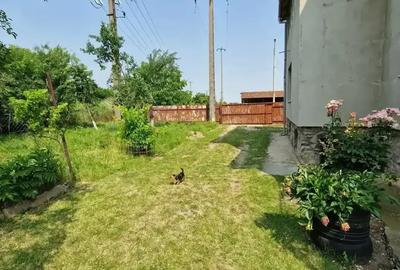 Mehala P-ta Mehala P-ta - 3