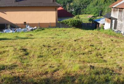 Teren 7000mp Pucioasa - Zona Pitoreasca - 25