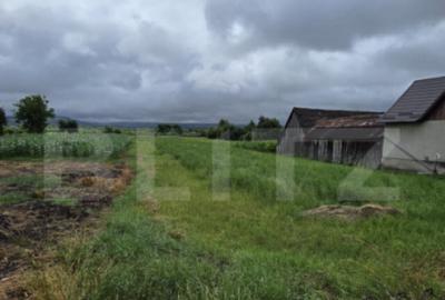 Teren intravilan 29 ari, Jelna, acces la asfalt