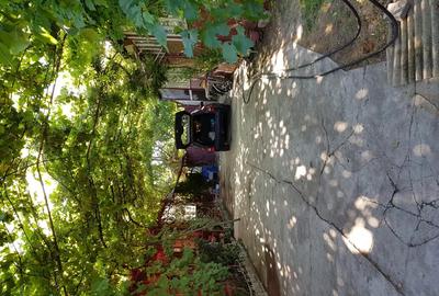 Casă cu 3 camere în Șicula - 5