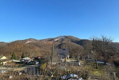 Casă cu 4 camere în Valea Neagră - 8