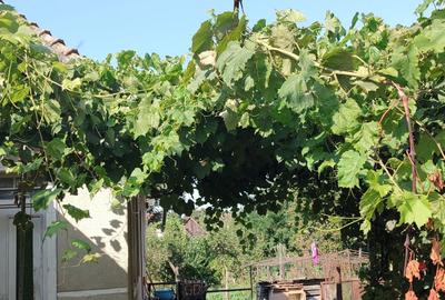 Casă cu 2 camere în Turda - 3