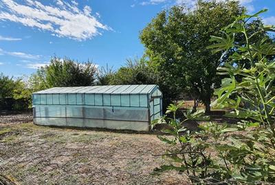 Se vinde casa in jud. Teleorman - 3