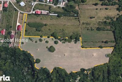 Teren de 23345 mp, în Cornu - 8