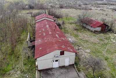 Moldova Noua, Proprietate cu Destinatie Multipla: Hala Productie Procesare a Carnii, Teren Intravila - 8