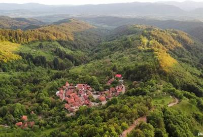 Teren de 2000 mp, în Brusturi - 5