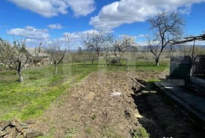 Casă cu 3 camere cu Teren 3000 Mp în Central