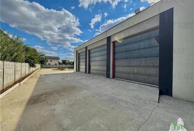 Hala Premium / Stradala de inchiriat in Bragadiru Hala Premium / Stradala de inchiriat in Bragadiru - 8