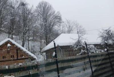 Casă cu 2 camere cu Teren 1519 Mp în Central - 3