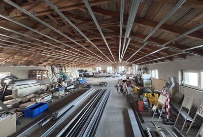 Spațiu industrial, de 960 mp, în Micălaca - 18