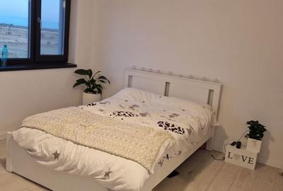 Casă cu 4 camere cu Teren 436 Mp în Domnești - 6