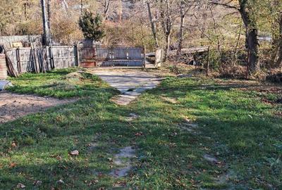 Vand casa de vacanta in Comuna Cotmeana, Sat Ursoaia, jud Arges - 2