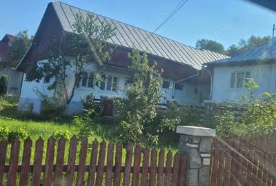 Casă cu Teren 1500 Mp în Valea Doftanei - 11