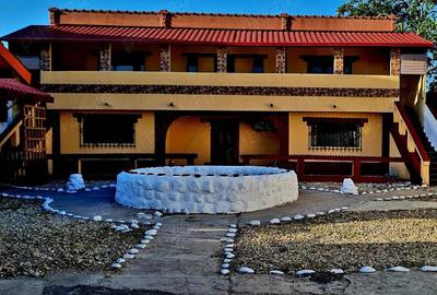 Vila Magurele P+1 STRADAL Chiar in centru IDEALA Afacere Locuinta - 2