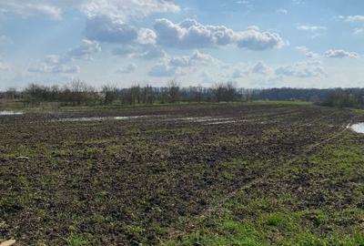 Teren Construcții de 10000 mp, în Bucșani - 6