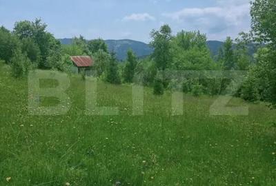 Teren în Scărișoara - 7