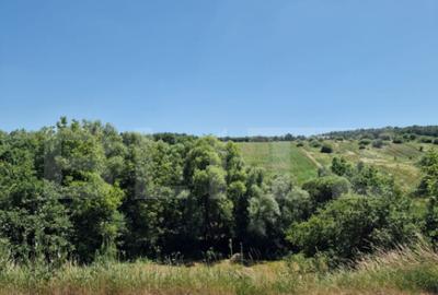 Teren de 1200 mp, în Central