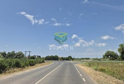 Teren - dezvoltare rezidentiala - Tunari 10.000 mp - 5