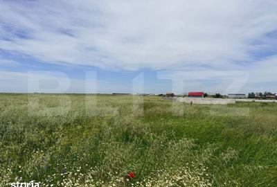 Teren de 1500 mp, în Brazda lui Novac - 5