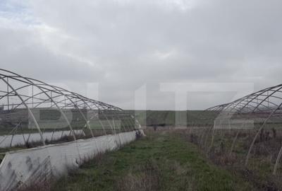 Teren intravilan agricol, sere, anexa agricola, 11500 mp ter - 2