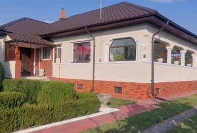 Casă individuală cu 4 camere cu Teren 7050 Mp în Odăile - 1