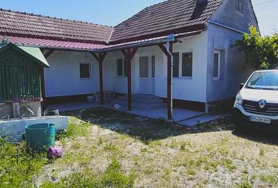 Casă cu 6 camere cu Teren 2135 Mp în Ilteu - 10