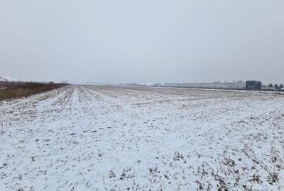 Teren industrial de vanzare in Stupini - 4