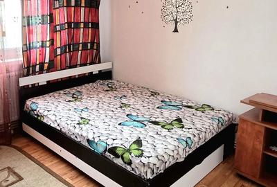 Apartament cu 2 camere semidecomandat în Craiovița Nouă - 6