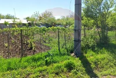 Casă cu 6 camere cu Teren 2655 Mp în Toporu - 7