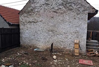 Urgent! Casa la tara - 3