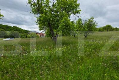 Teren intravilan, 34 ari intravilan, zona Unirea - 4