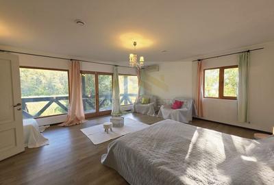 Reședință exclusivistă cu deschidere la Lacul Scroviștea - 8