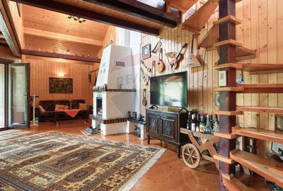 Casa / Vila  de vacanta ideala in satul Drumul Carului, zona Moieciu - 16