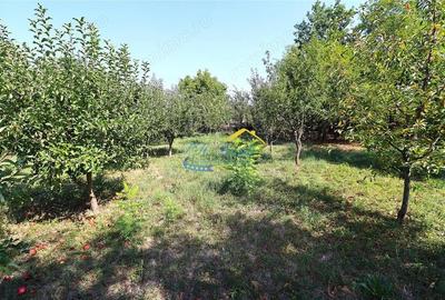 Casa de vanzare, Bordenii Mari Prahova - 4