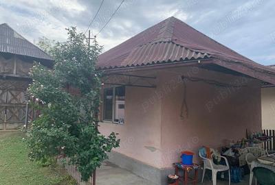 Casă cu 2 camere în Aciua - 8