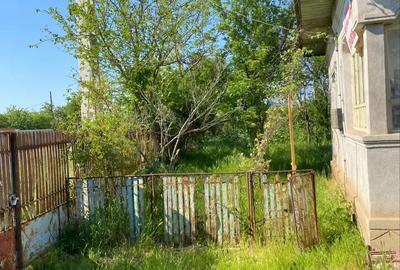 Casa cu teren 1764 mp - 4