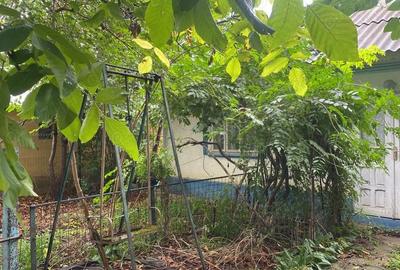 Casă cu 3 camere cu Teren 1168 Mp în Bivolari - 2