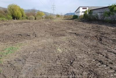 Teren Construcții intravilan de 6500 mp, în Sud - 3