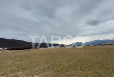 Teren intravilan 11.400 mp deschidere 45 ml in Talmaciu zona - 2
