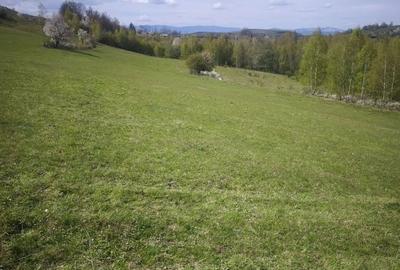 Teren de 9800 mp, în Poșaga - 6