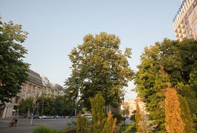 Proprietar vand apartament 3 camere Revolutiei - Medicina - 14