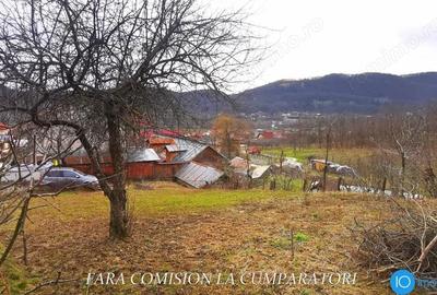 Teren de 350 mp, în Vlădești - 6