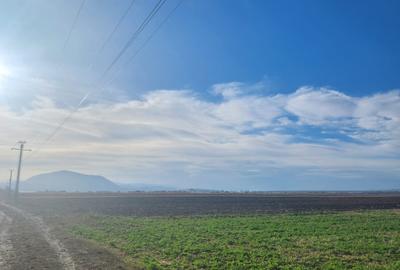Vanzare loturi teren pentru case  cu utilitati Halchiu - 3