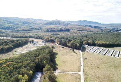 Teren Intravilan - Amplasare Unica - 7